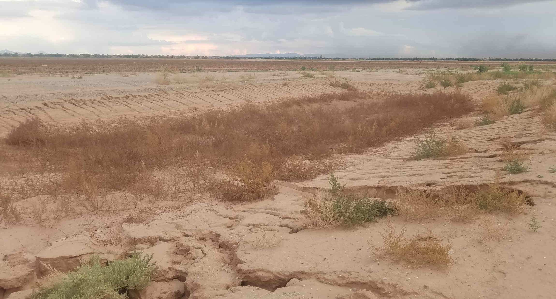 Street Diary Ornamentation