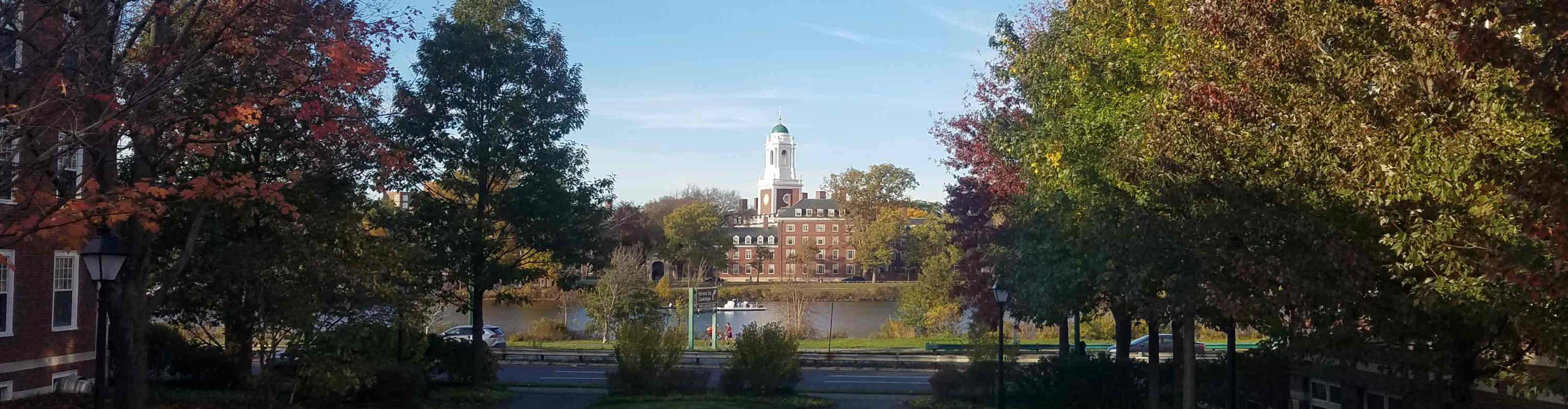 Street Diary Ornamentation