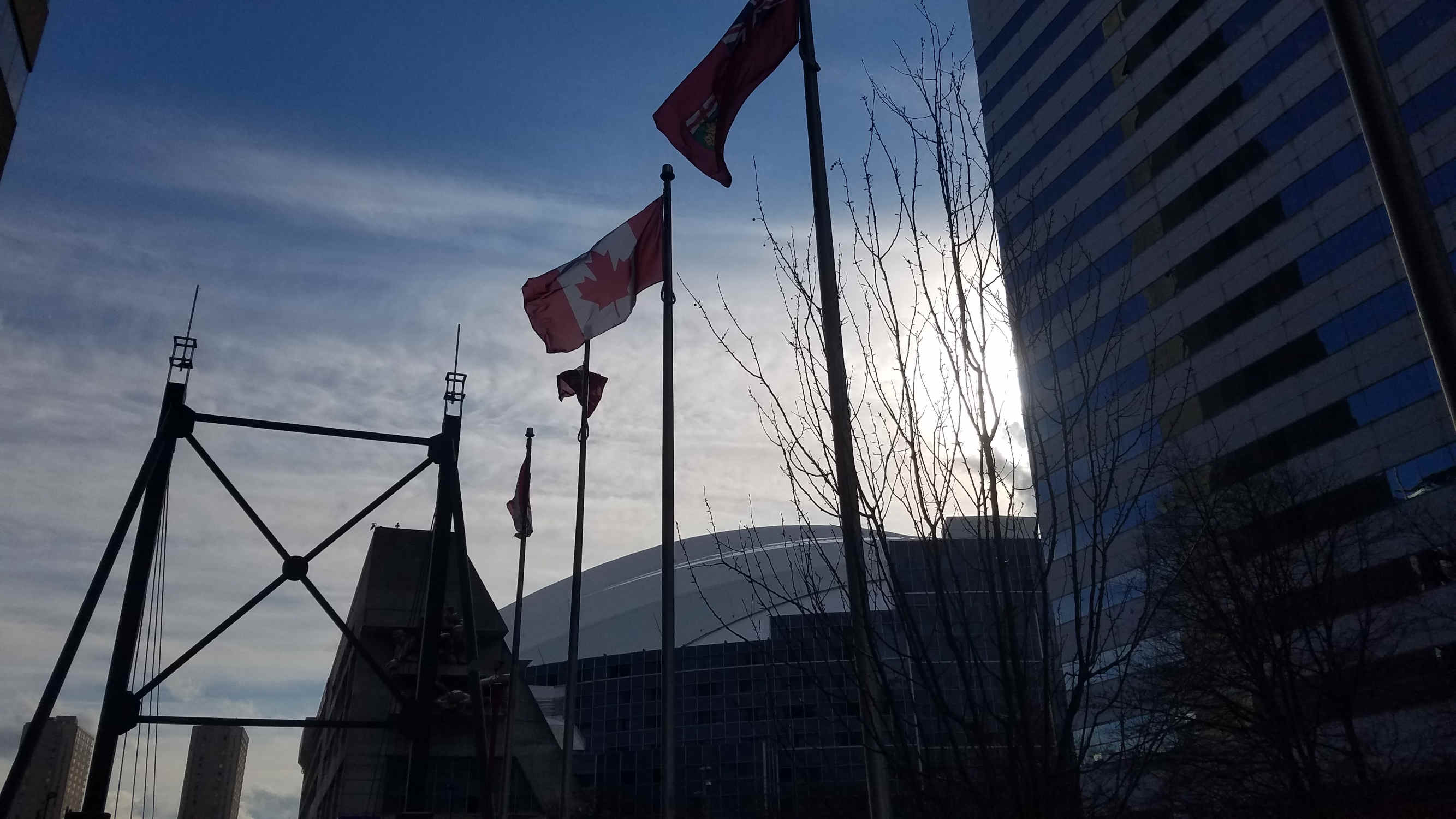 Street Diary Ornamentation