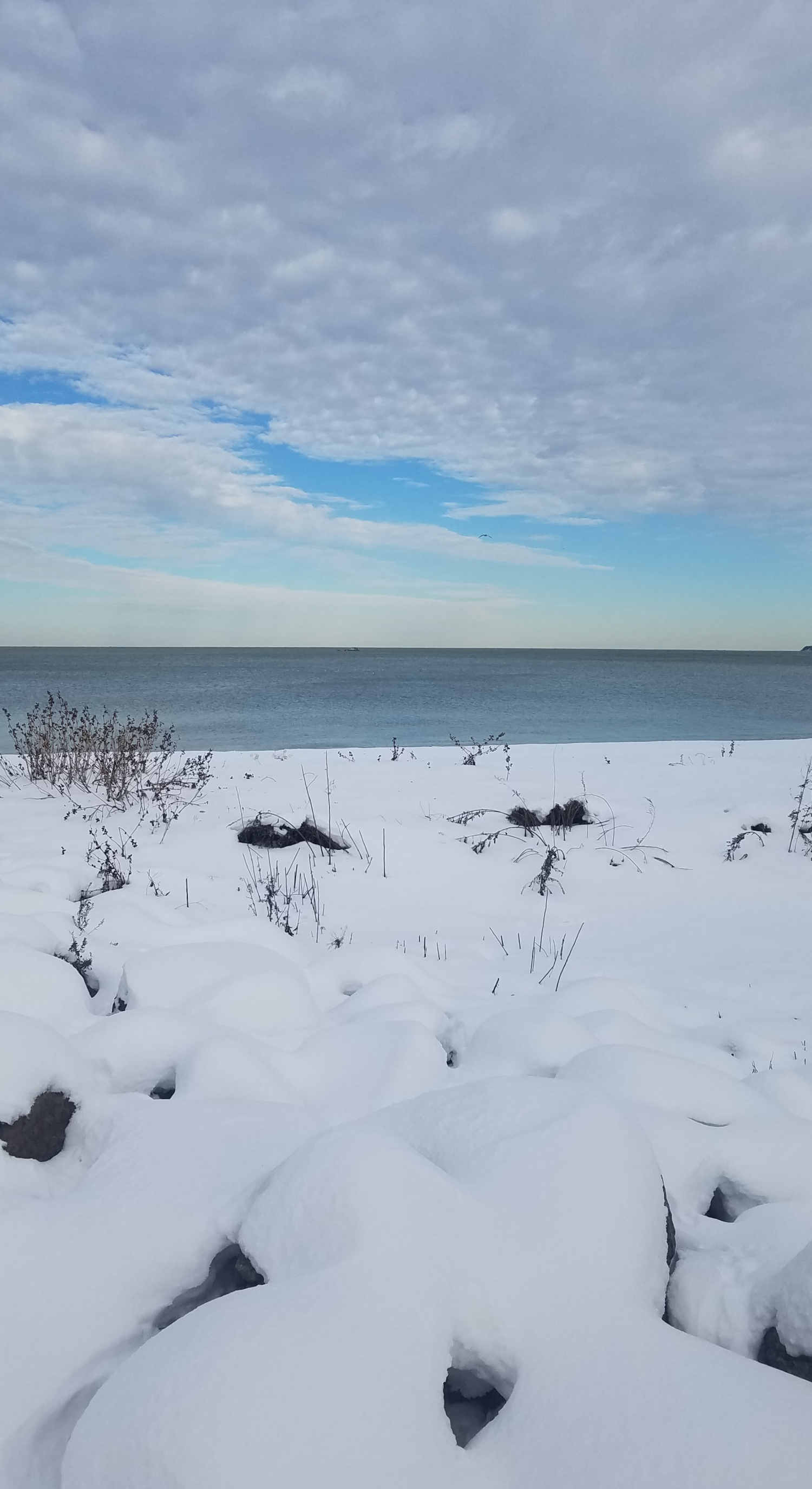 Street Diary Ornamentation